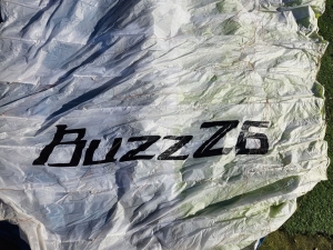 OZONE BUZZ Z6 MS